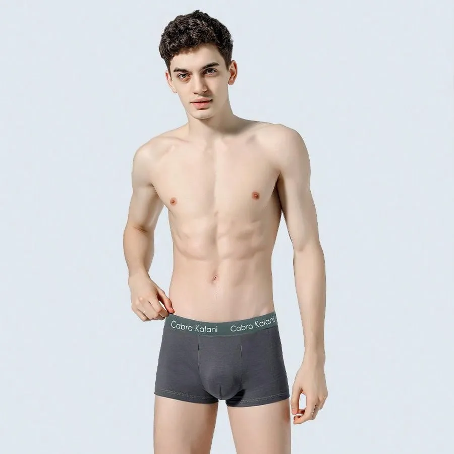 4pcs Men's High-Waist Breathable Ice Silk Boxer Shorts, Birthday Gift For Boyfriend Or Husband, Suitable For Summer And All Seasons