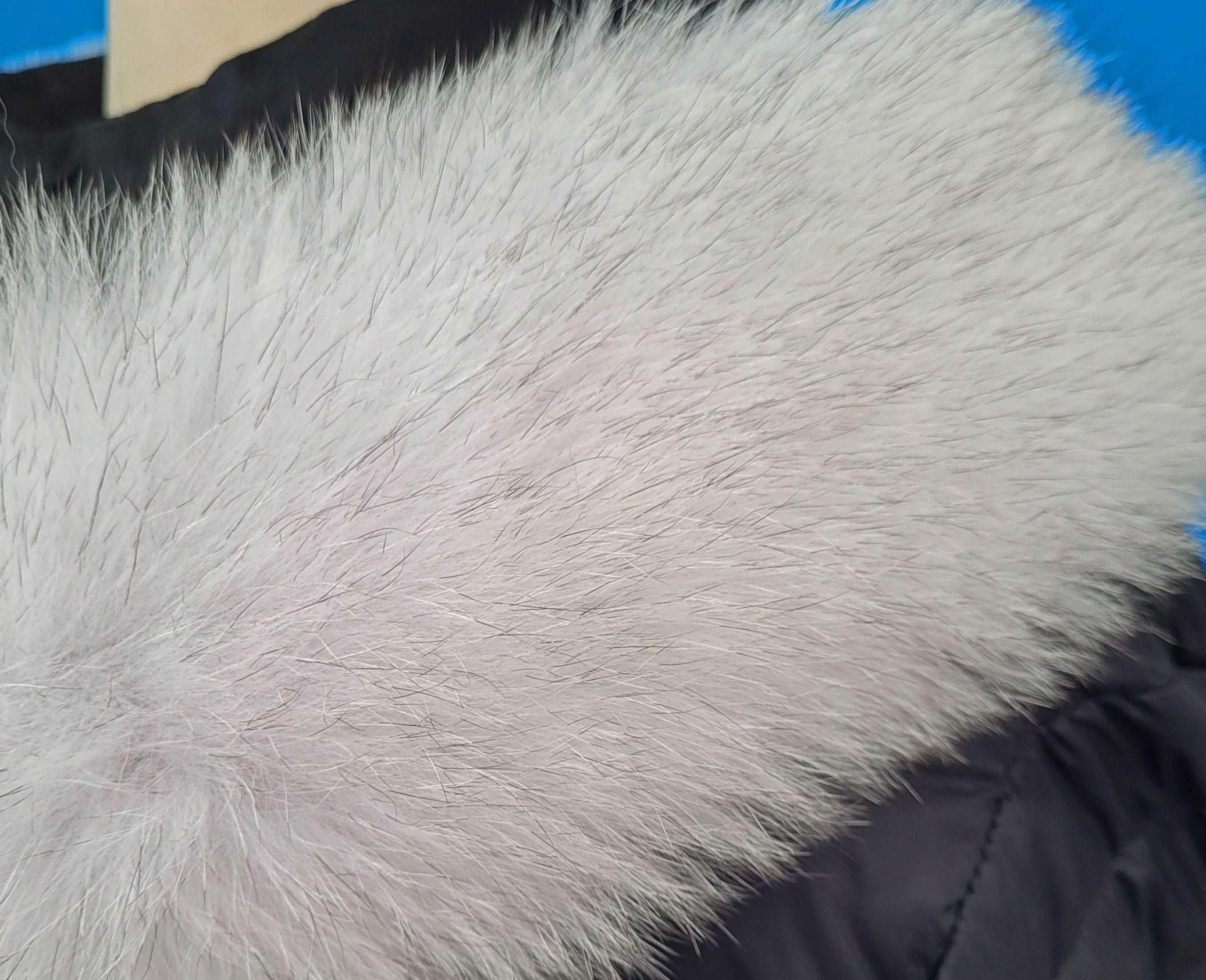 BY ORDER XL White with Black tips Large Real Fox Fur (not Tail) Trim Hood, Fox Fur Collar, Fur Scarf, Fur Ruff, Fur Hood, Fur Collar