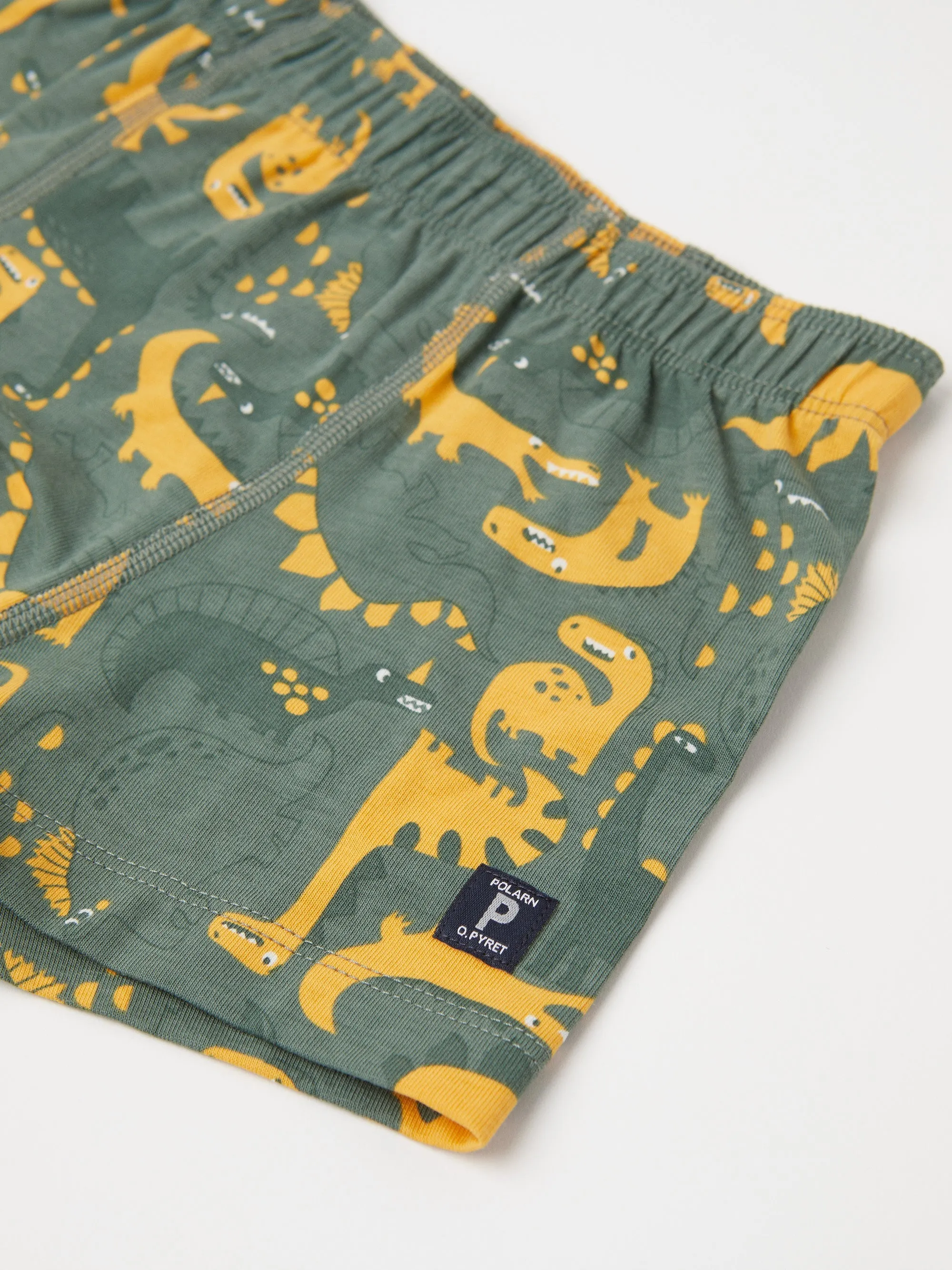 Dinosaur Print Boys Boxers