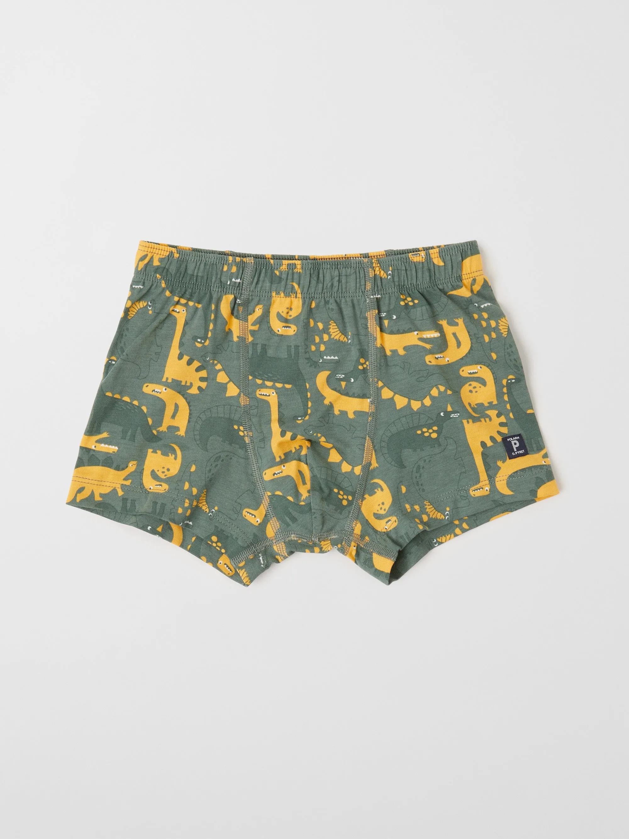 Dinosaur Print Boys Boxers