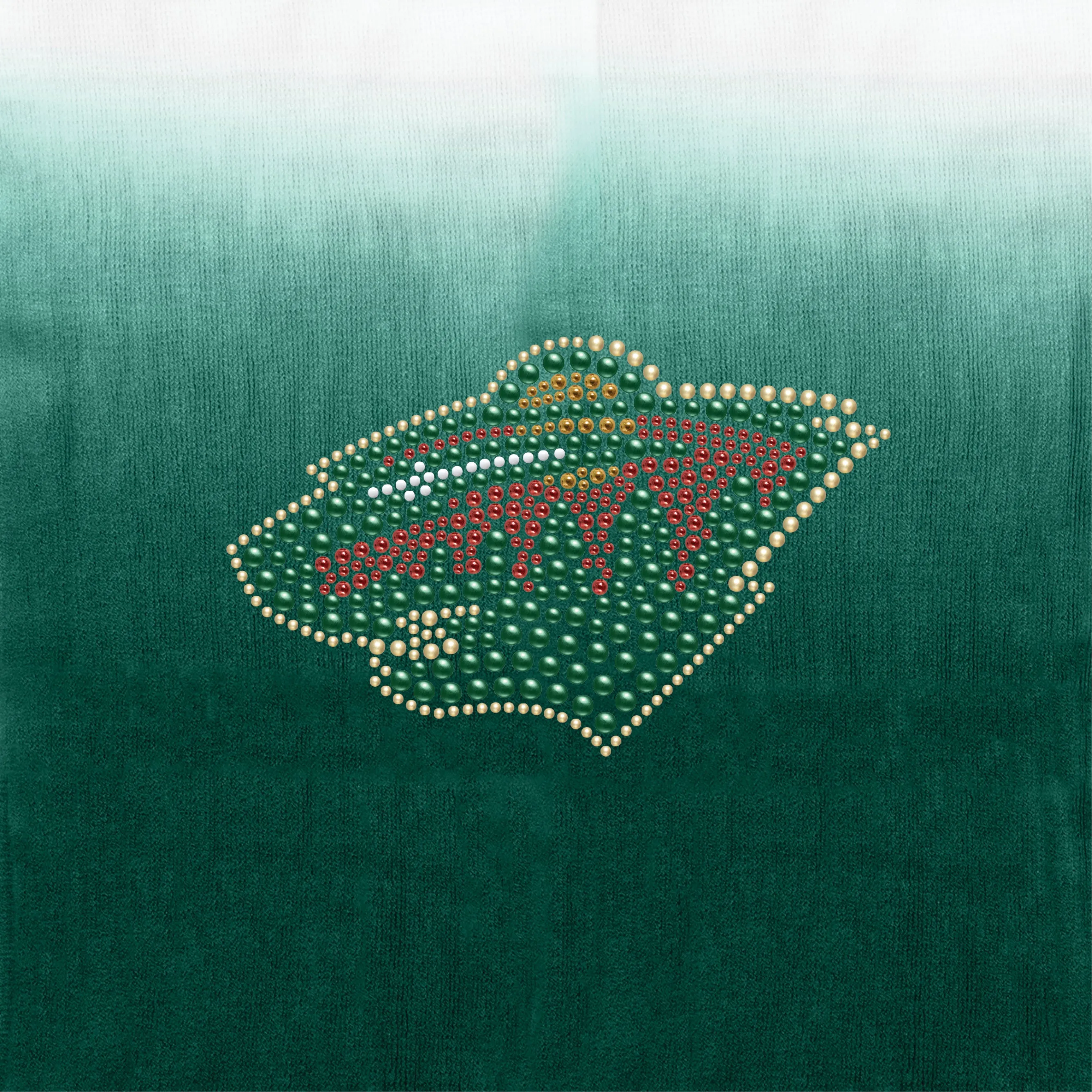 Minnesota Wild Dip Dye Poncho