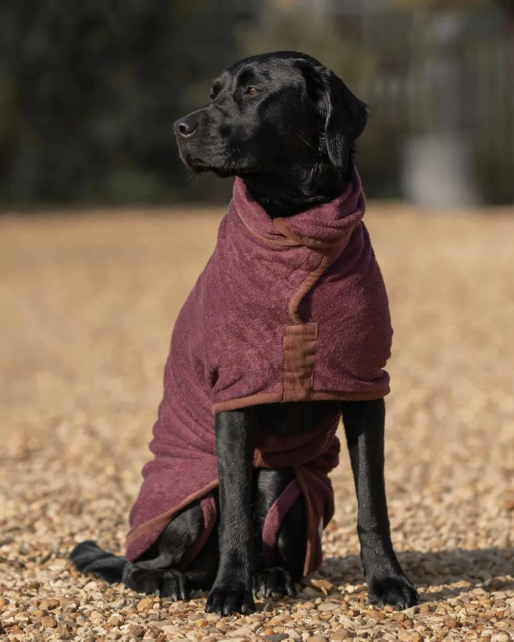 Ruff & Tumble Country Dog Drying Coat