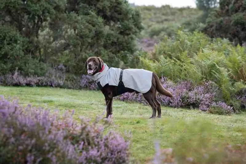 Rukka Shine Reflective Rain Coat for Dogs